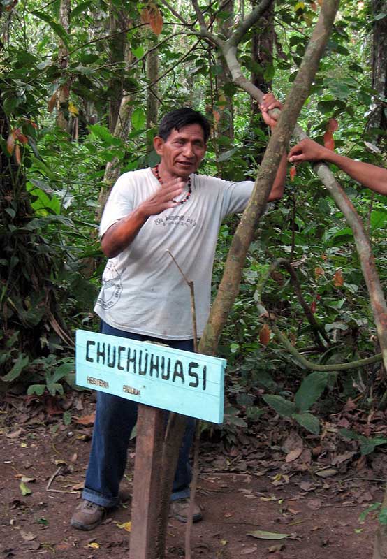 Chuchuhuasi shaman