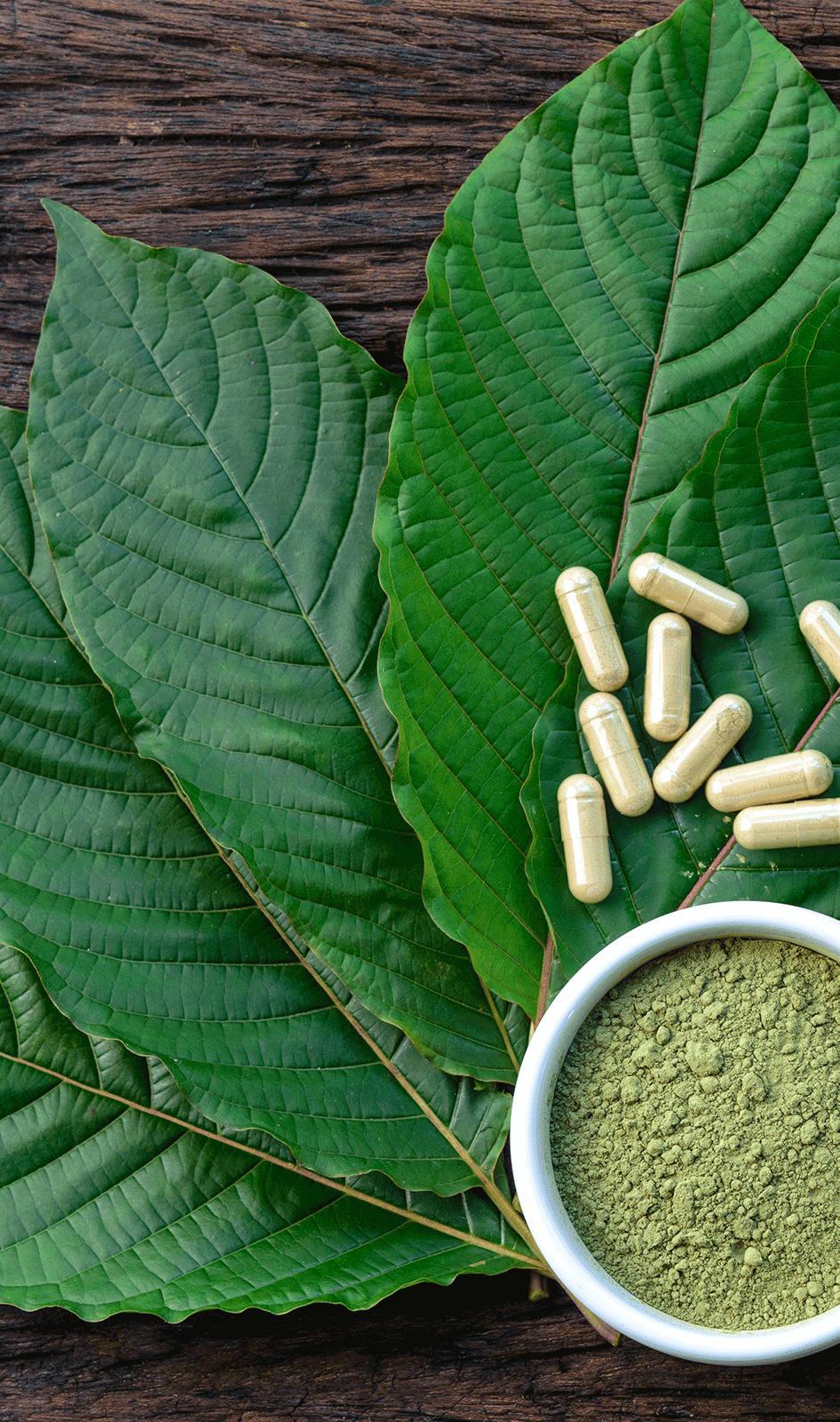 leafpowdercapsule