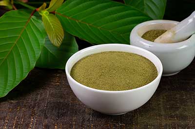 Kratom Mitragyna Speciosa